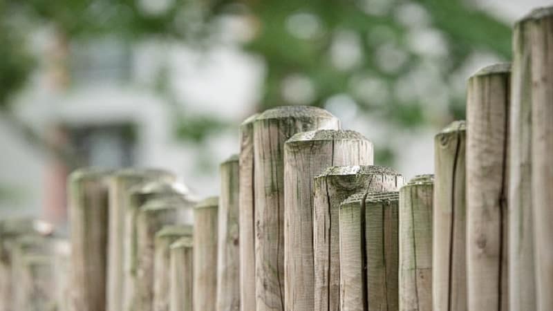 Best Wood for Fence