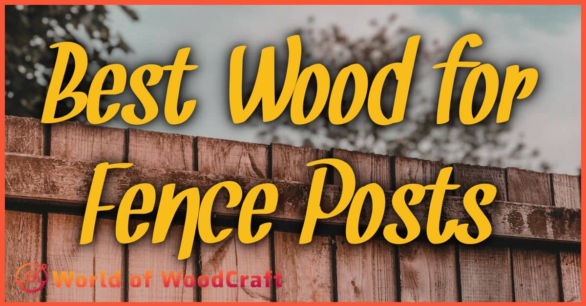Best Wood for Fence Posts